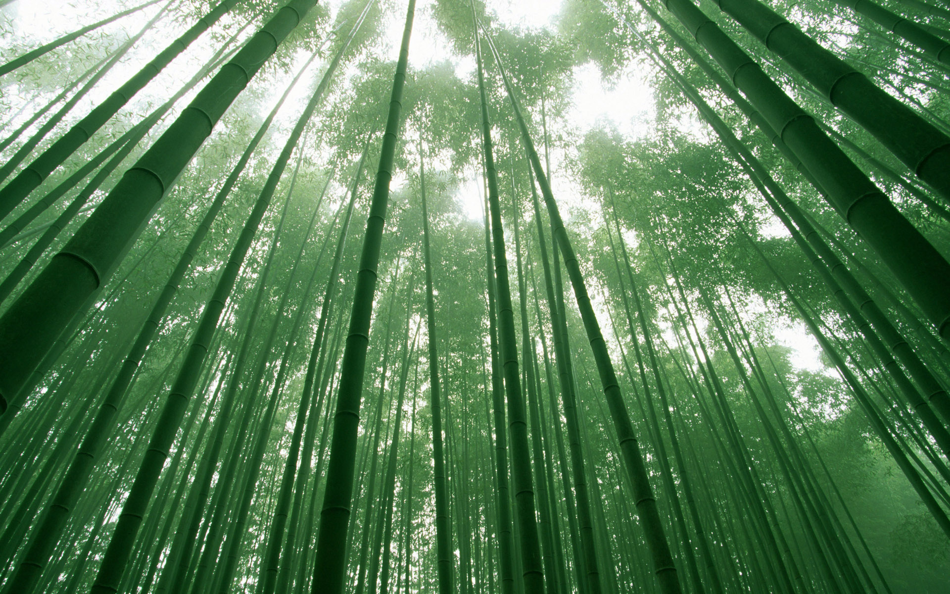 鸟瞰热带海岛蓝色绚丽风景桌面壁纸图片