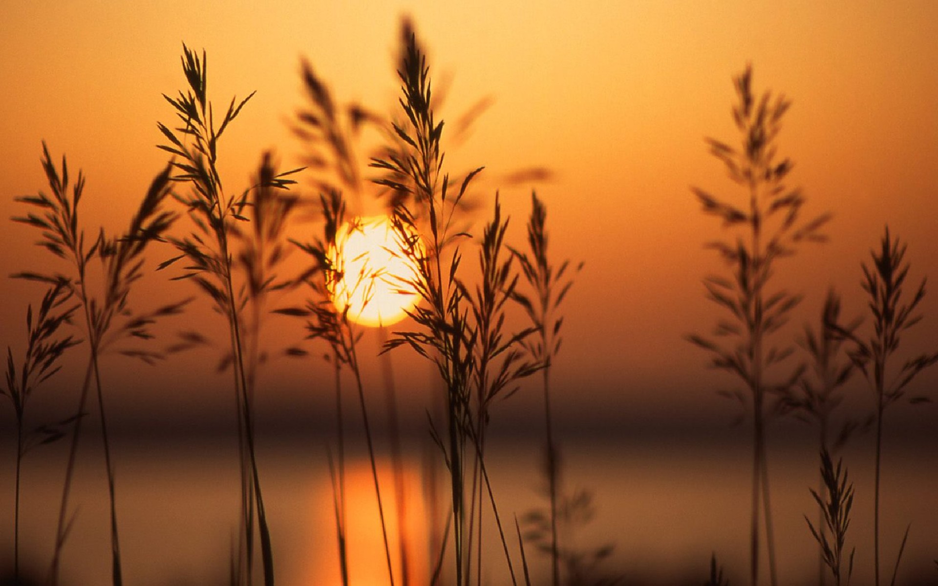 都市唯美绚丽夕阳美景手机壁纸图片