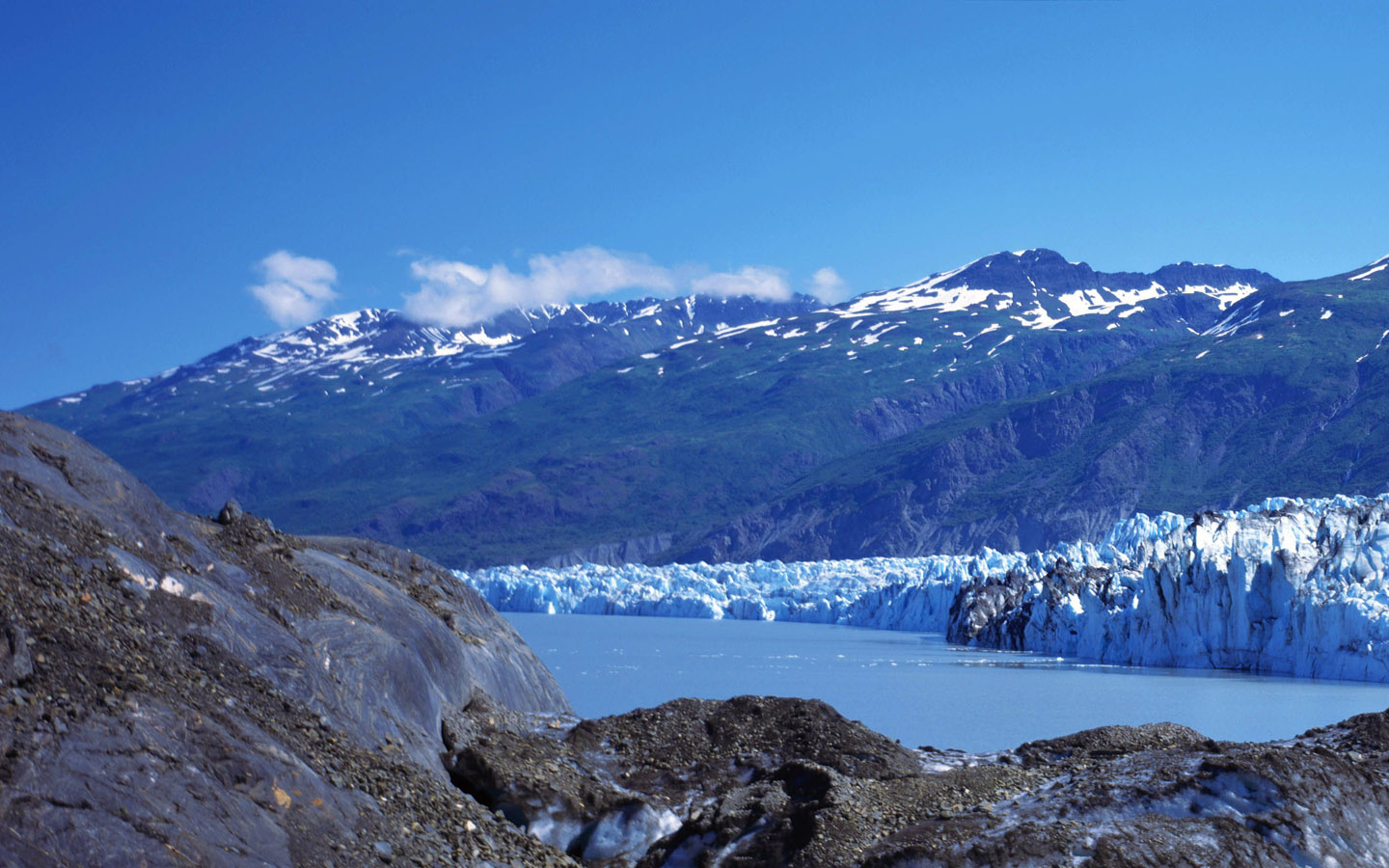 苹果桌面壁纸图片