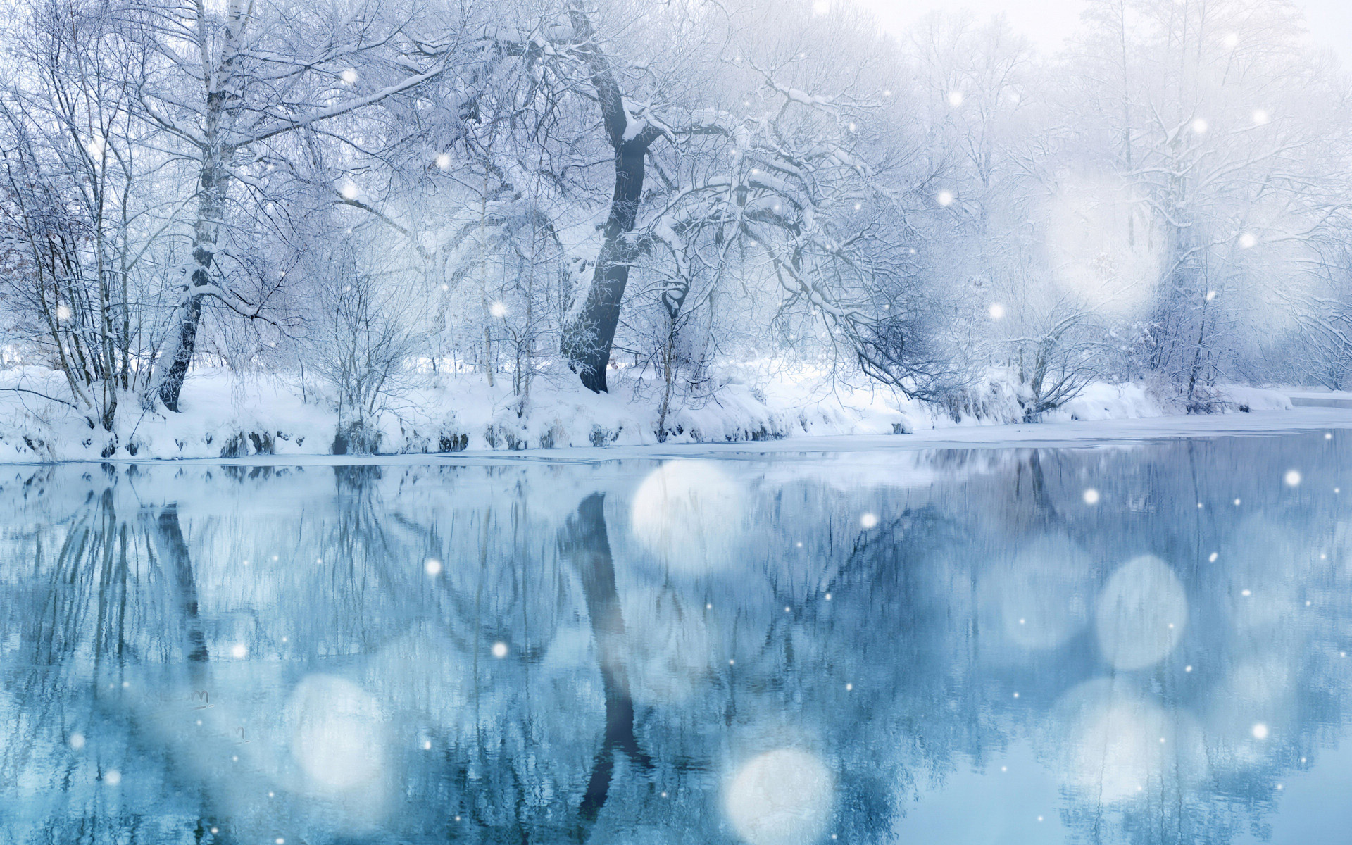 美丽的雪景720X1280手机壁纸图片
