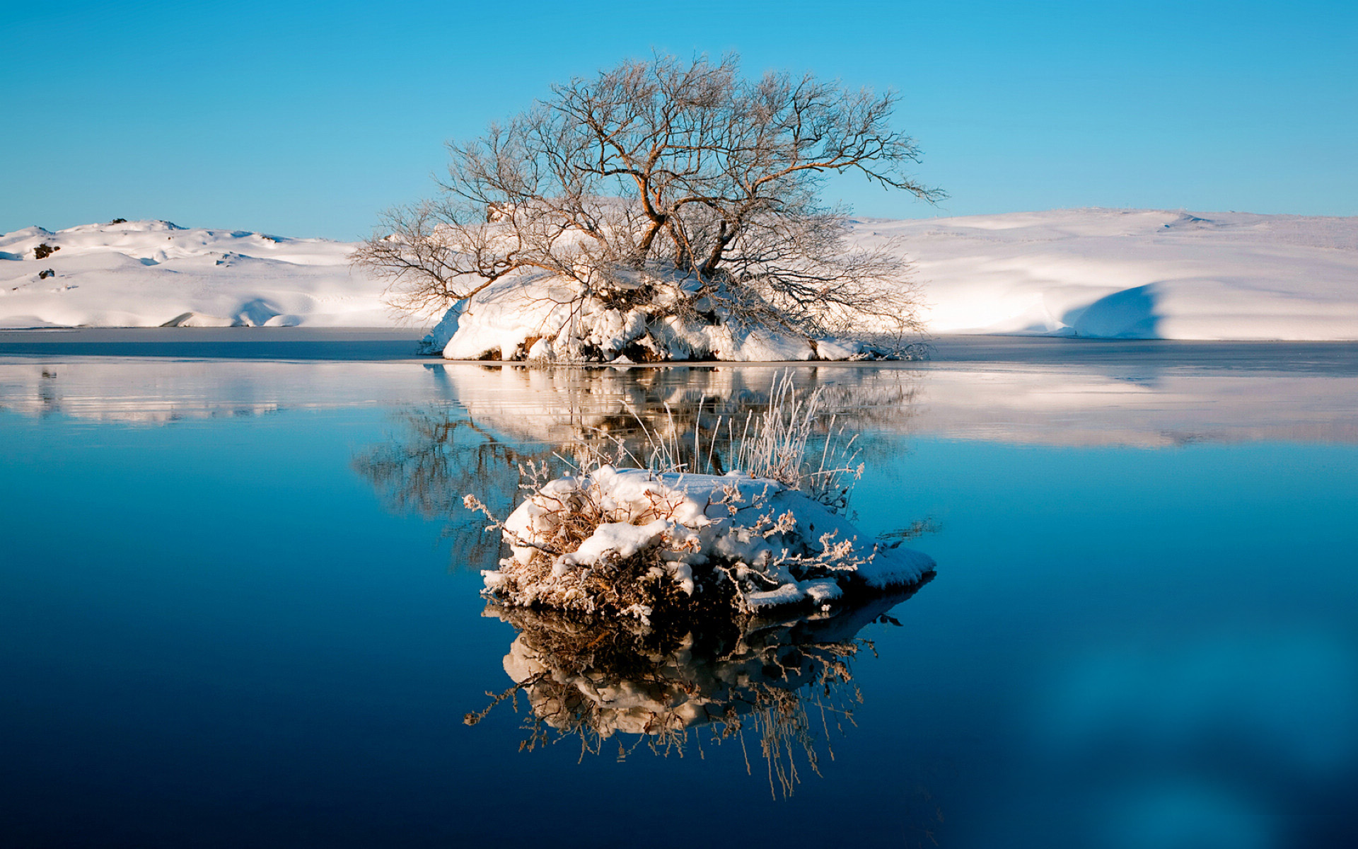美丽的雪景720X1280手机壁纸图片