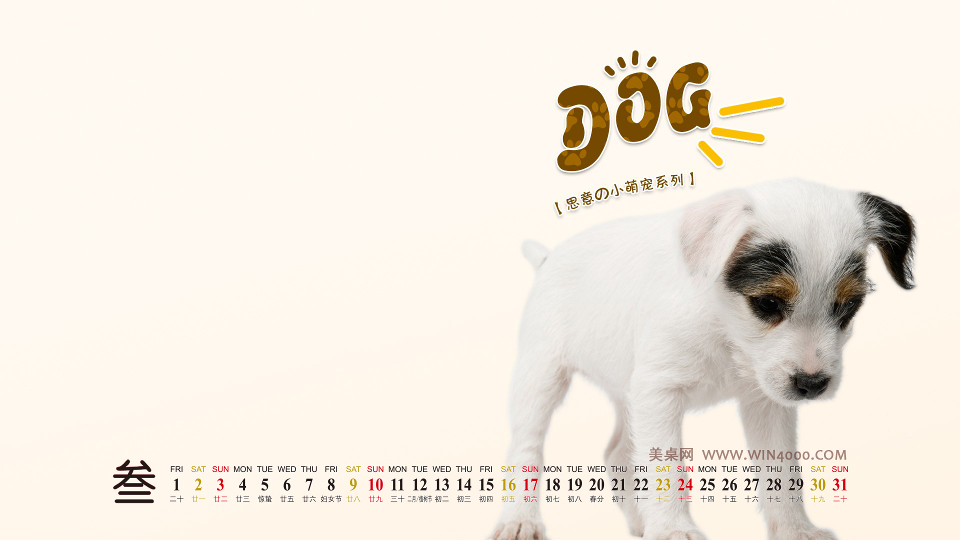 水母：神奇的海洋生物图片图片