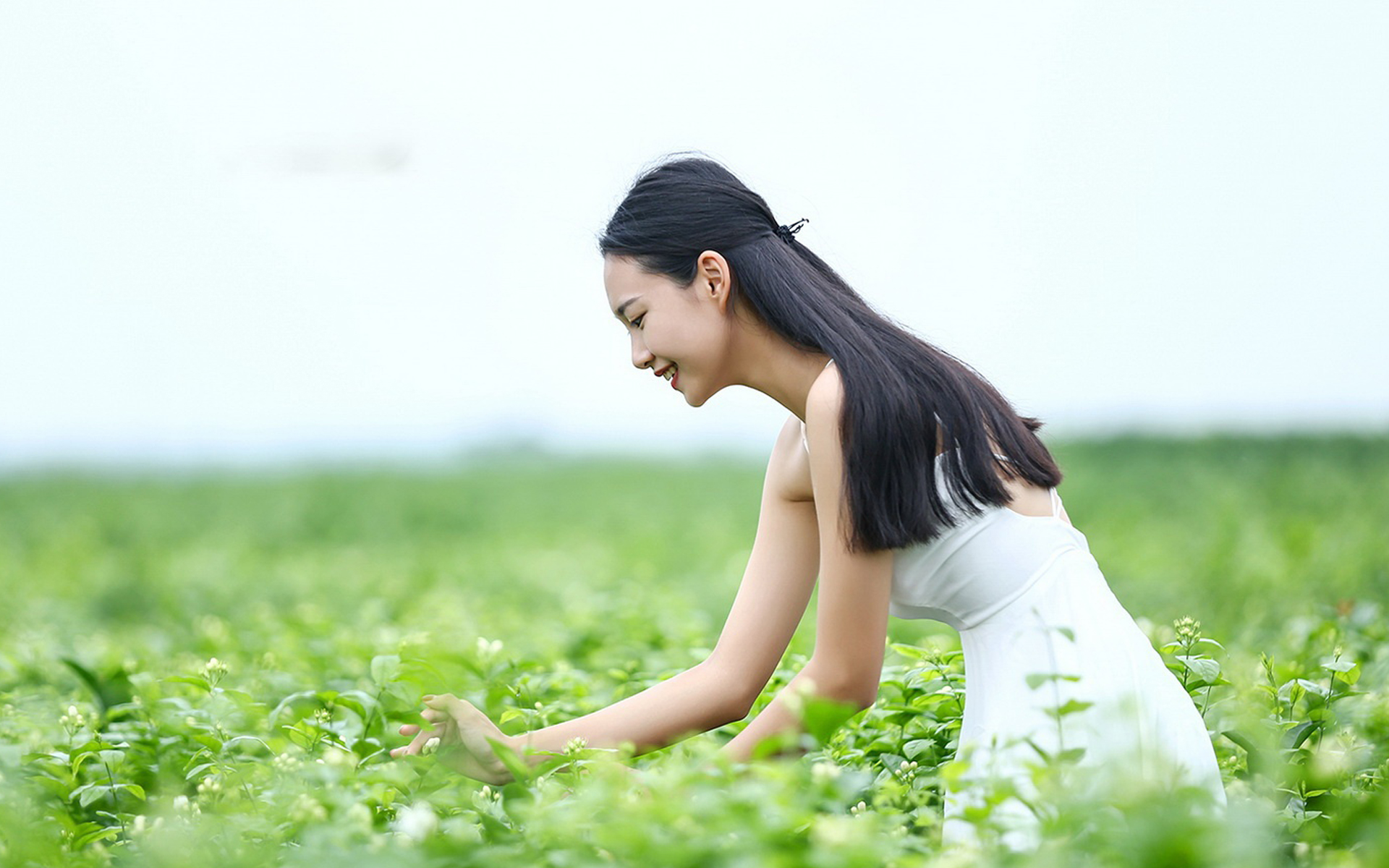 苹果桌面壁纸图片