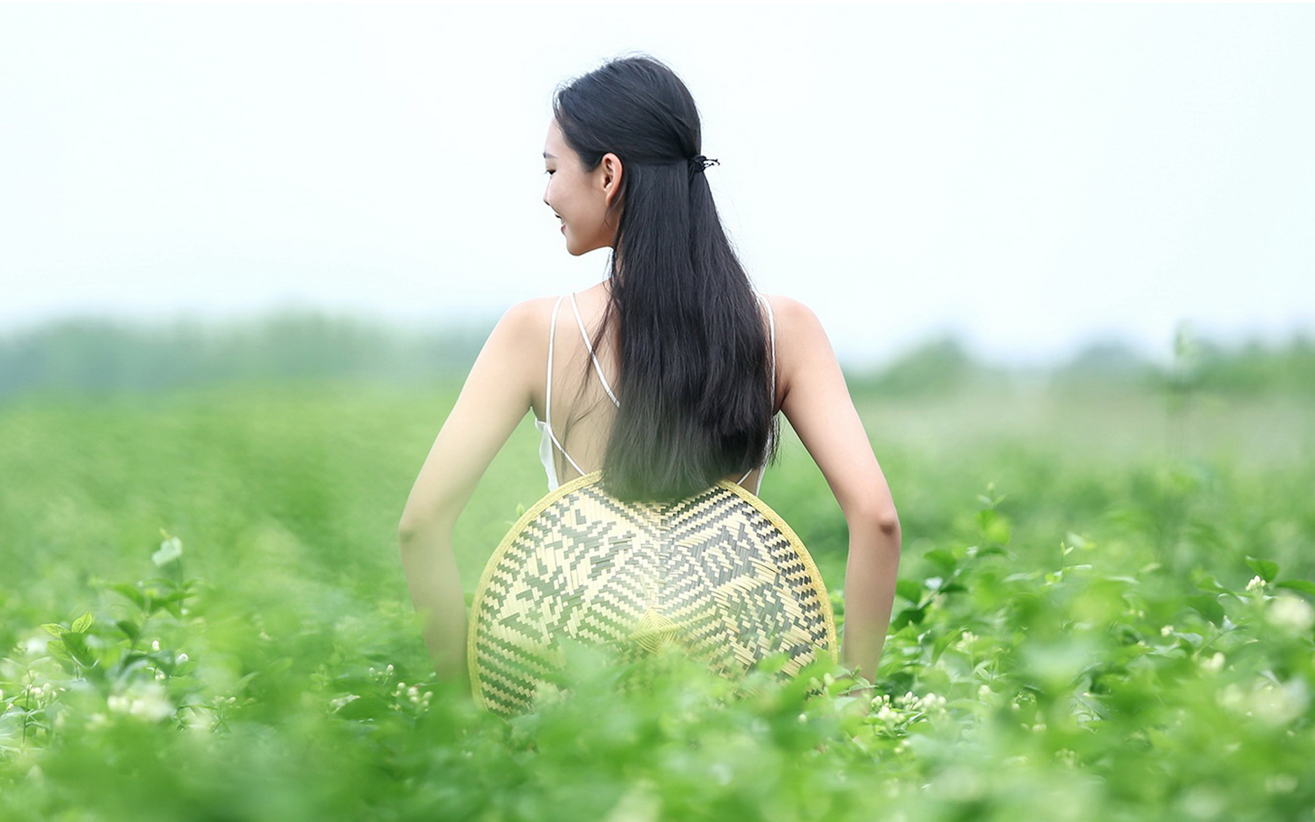 苹果桌面壁纸图片