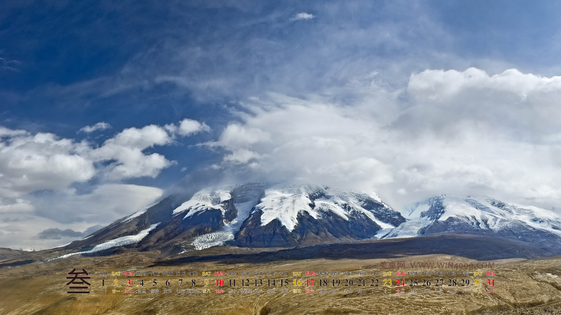 美丽鲜艳的海棠花风景桌面壁纸图片