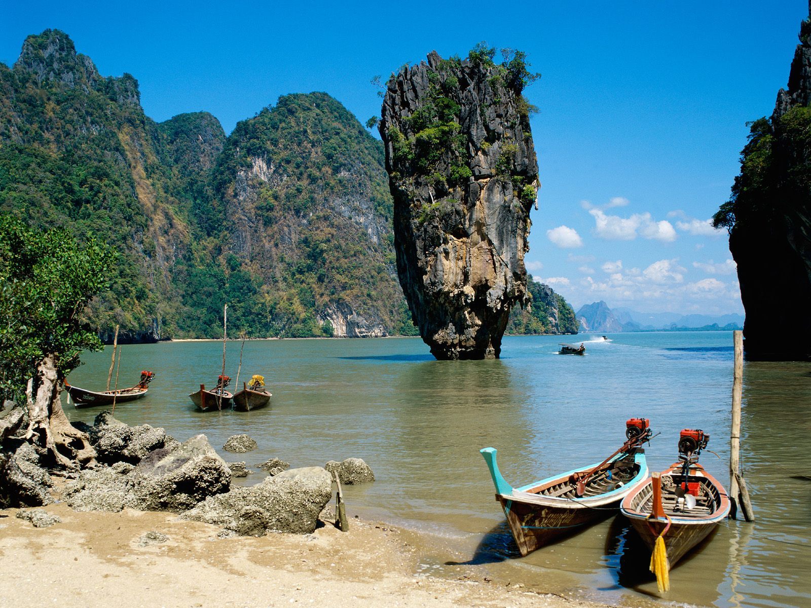美丽鲜艳的海棠花风景桌面壁纸图片