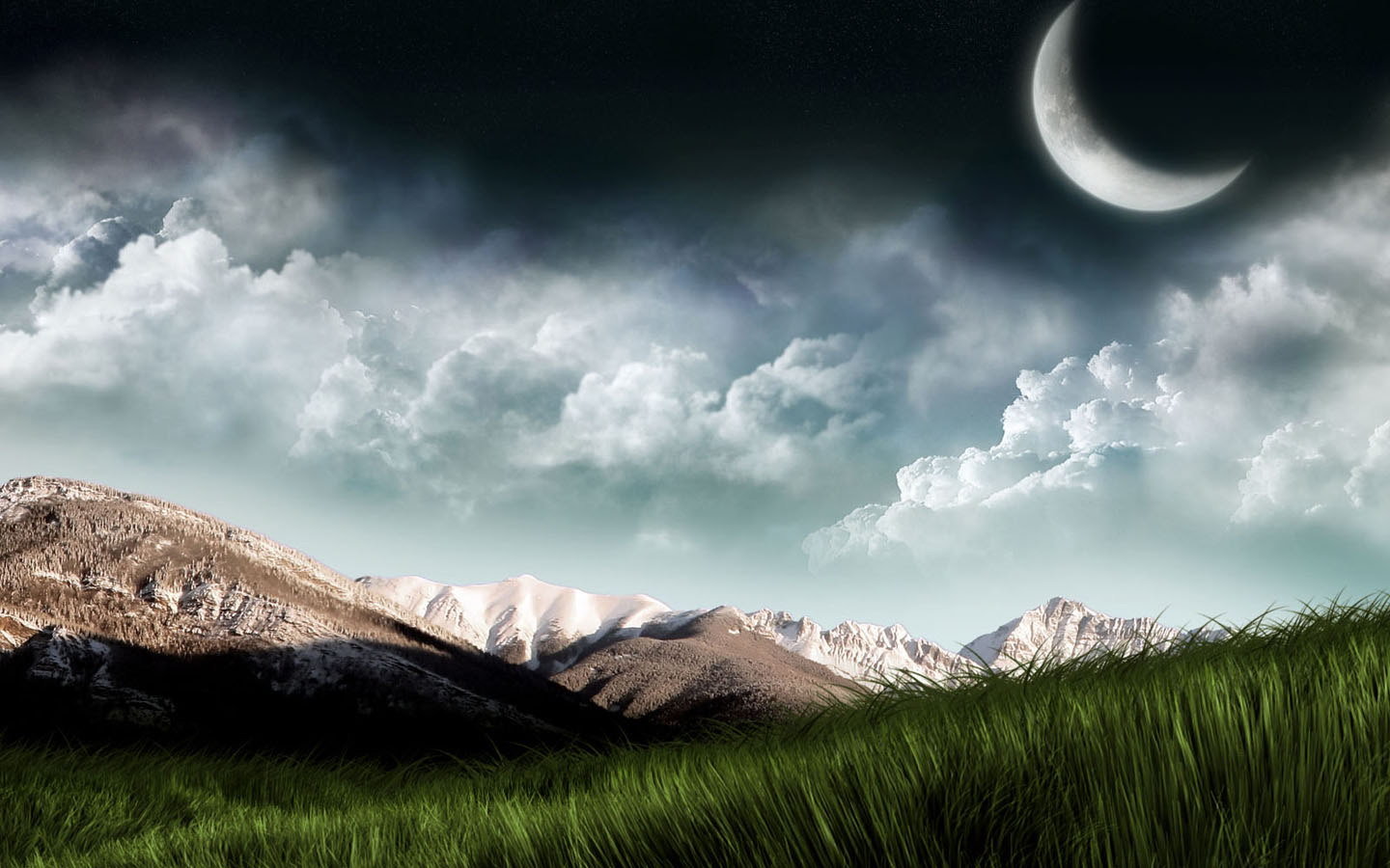 美丽鲜艳的海棠花风景桌面壁纸图片