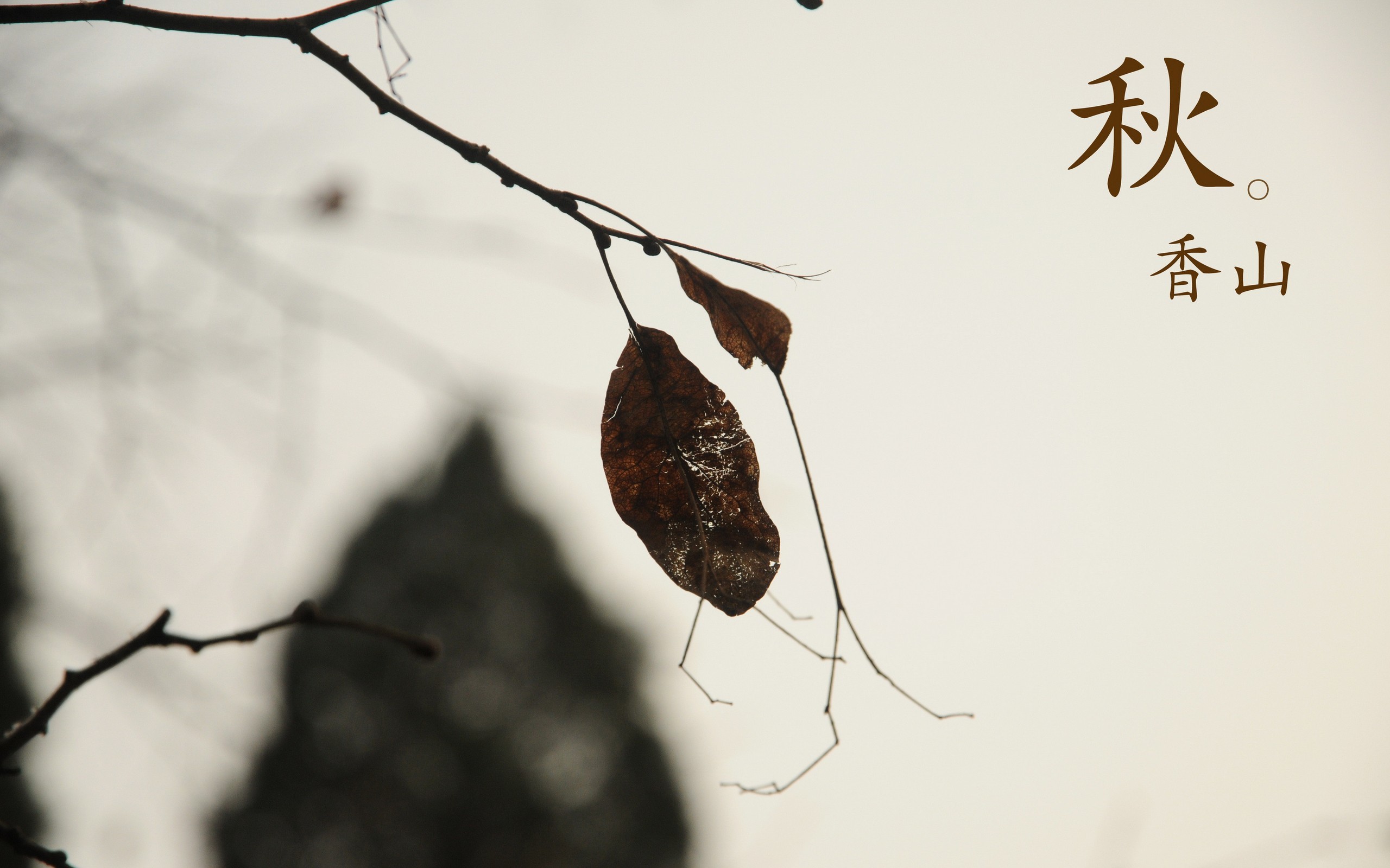 香山秋日花草风景高清桌面壁纸图片
