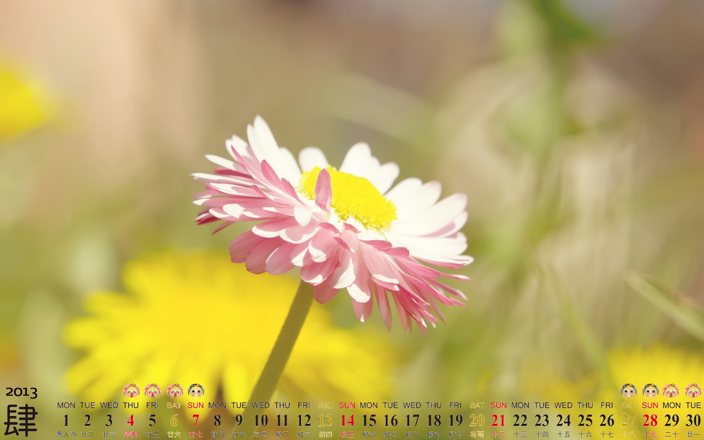 2013年4月风景日历桌面美丽花朵壁纸图片