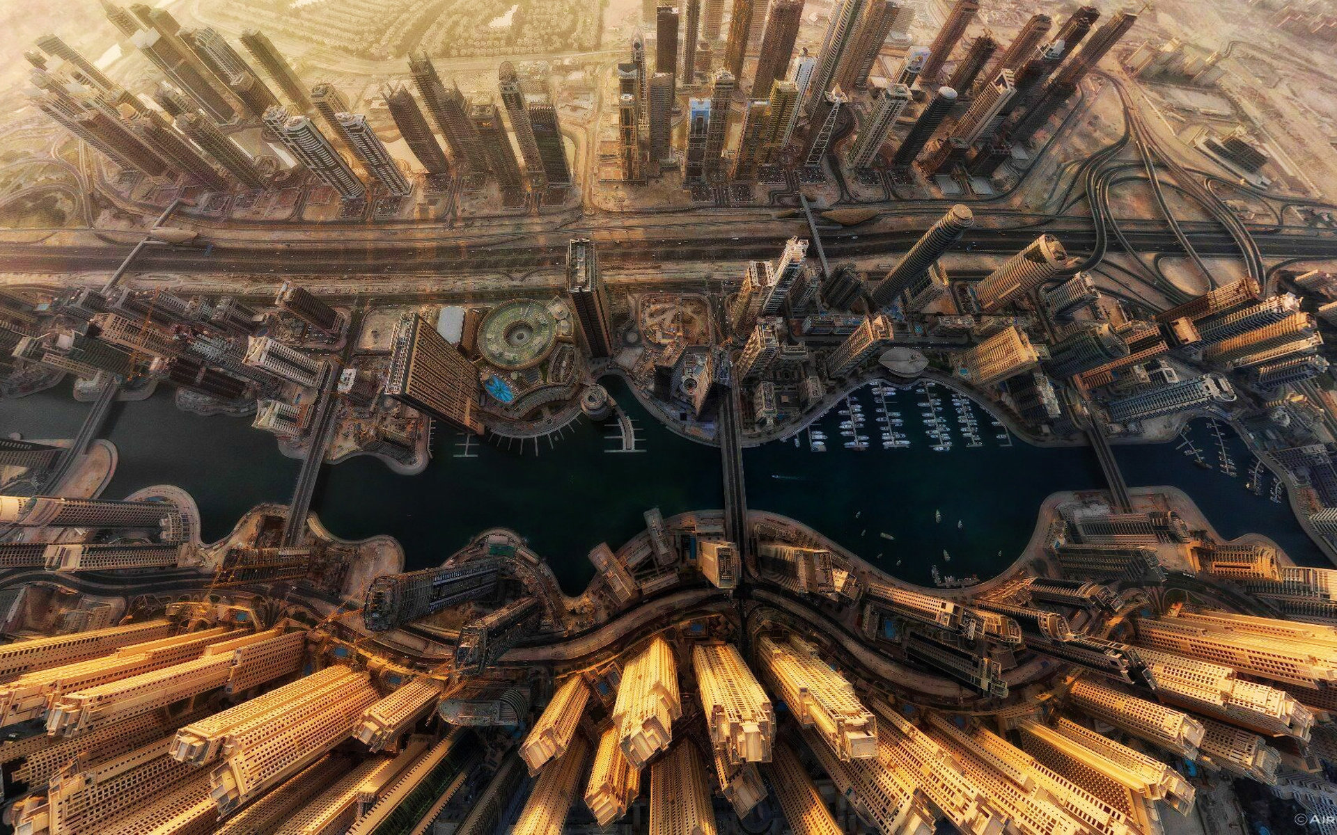 美丽鲜艳的海棠花风景桌面壁纸图片