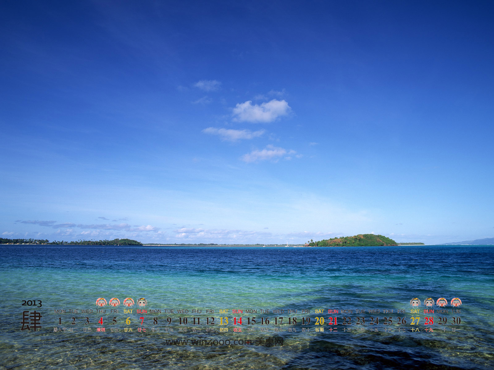 美丽鲜艳的海棠花风景桌面壁纸图片