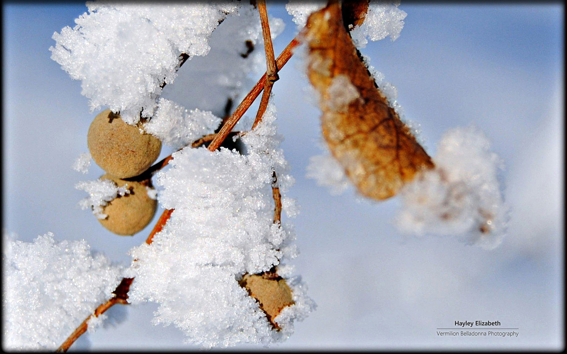 2015年12月日历雪景桌面壁纸下载图片