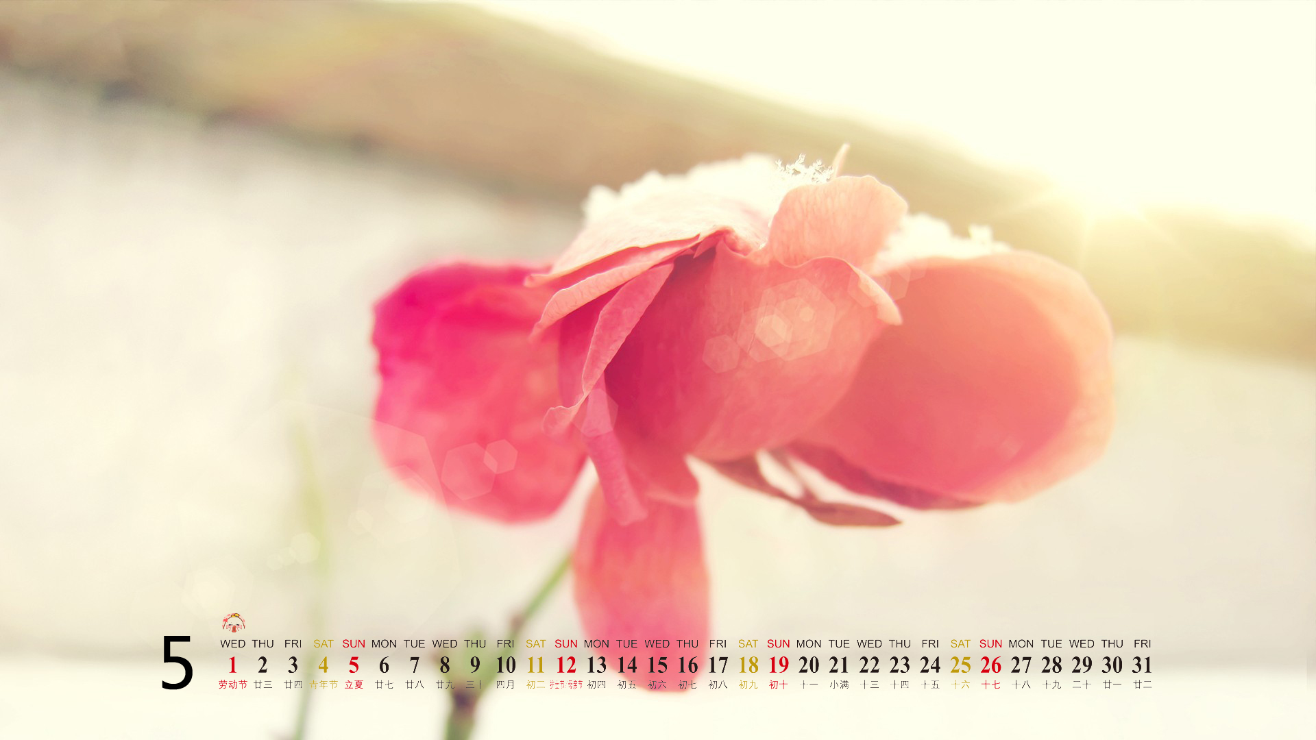 2013年5月风景桌面日历之大自然美景图片