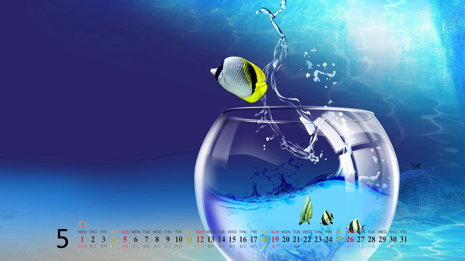 高清美景神秘的海底生物美丽水母图片手机壁纸图片