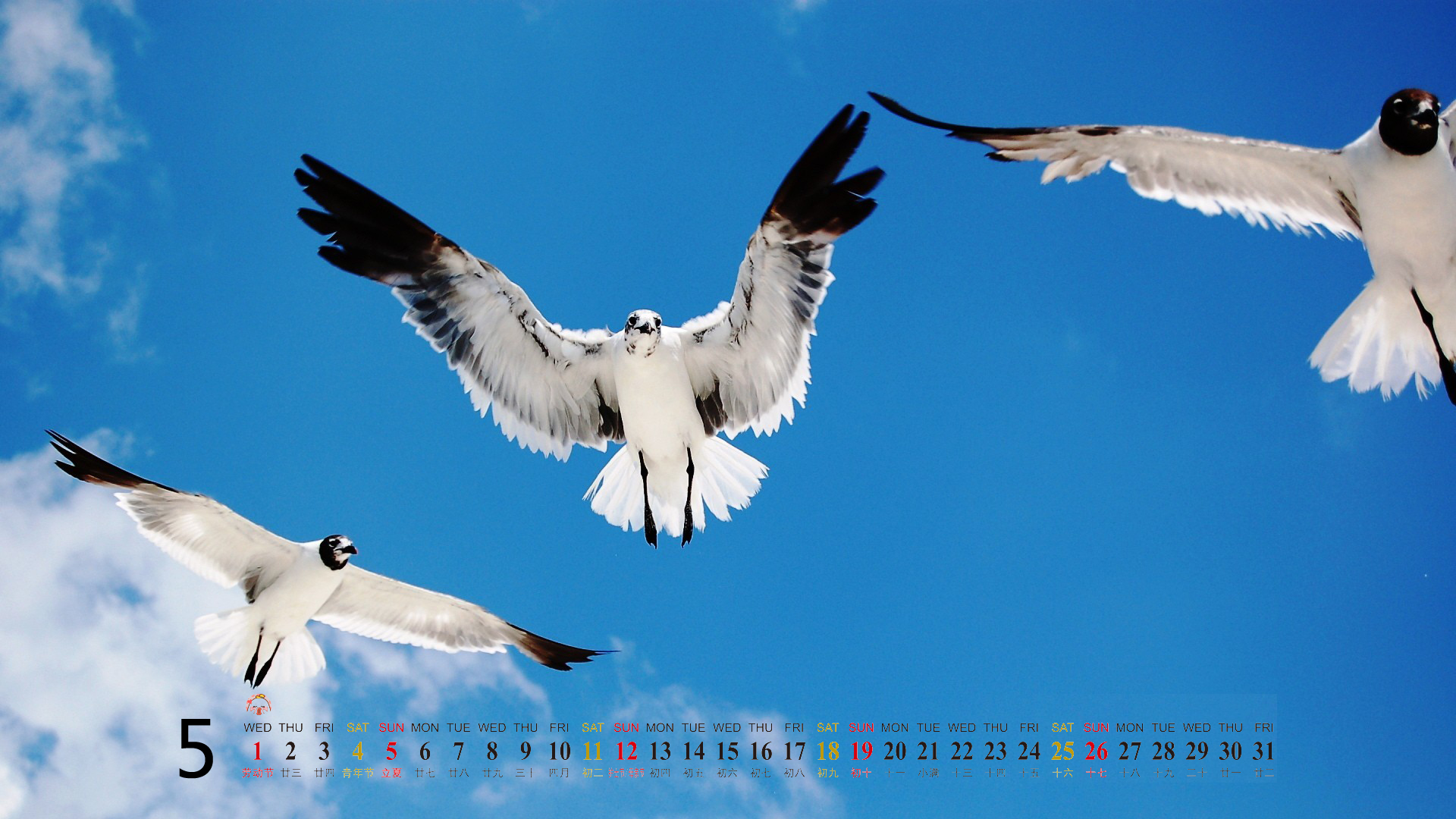 2013年5月风景日历高清壁纸图片