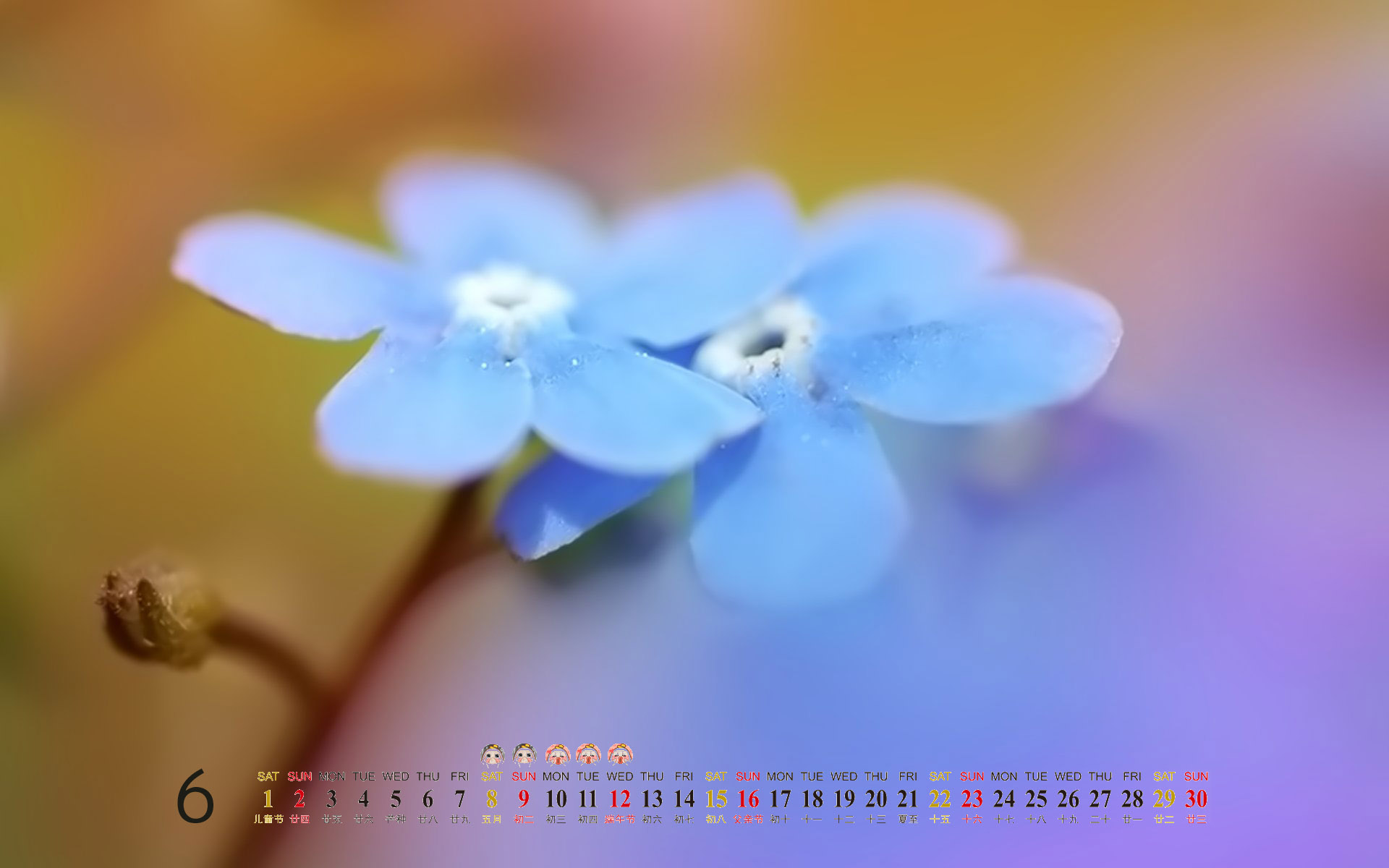 月历桌面图片