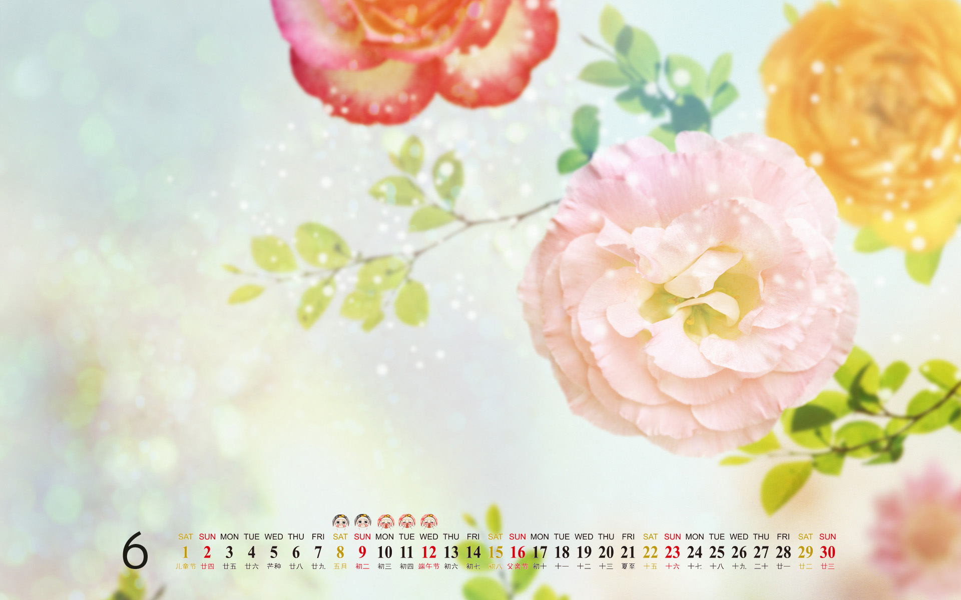 绿色的树木风景桌面壁纸之1920x1080图片