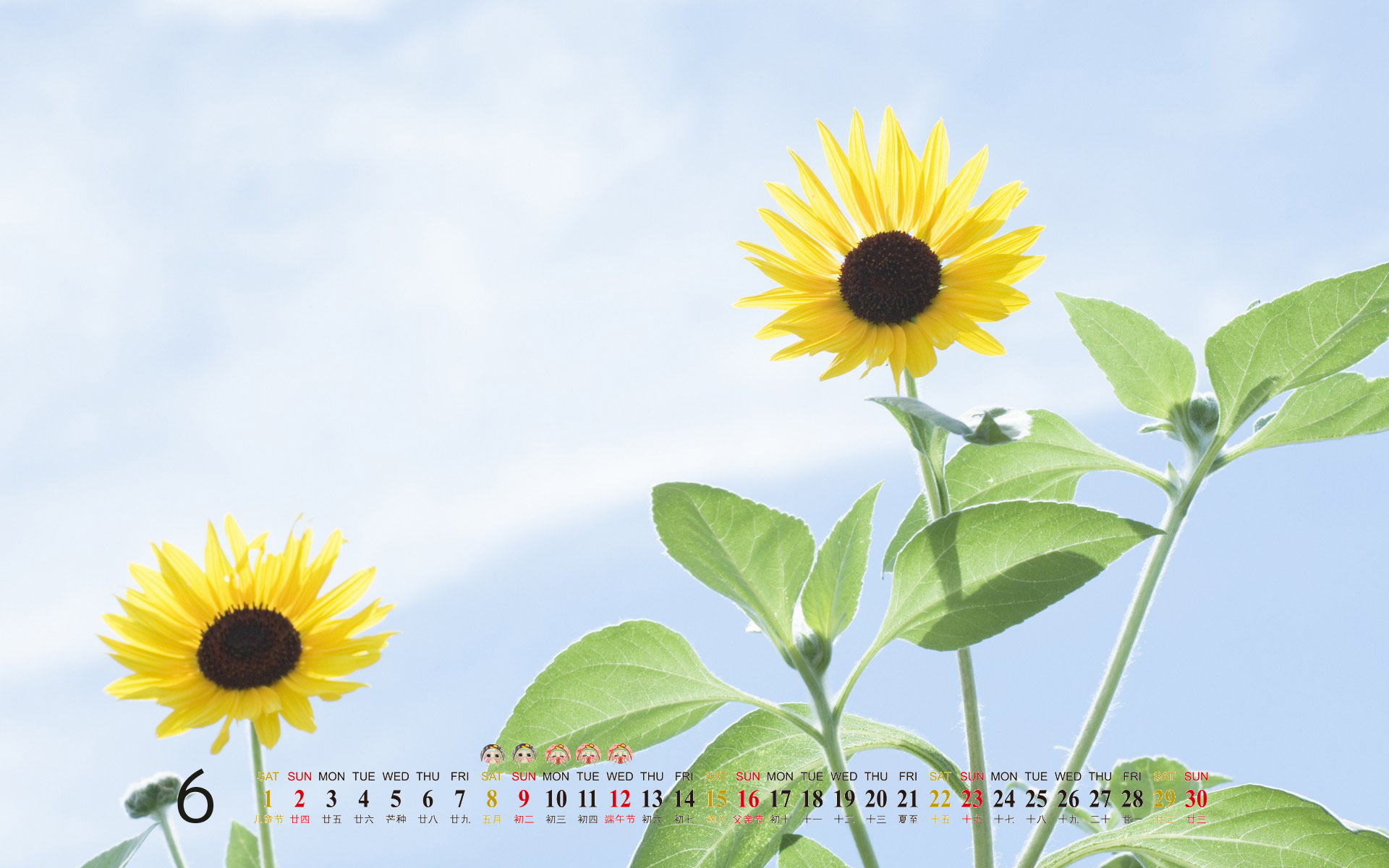 2013年6月唯美花卉风景日历桌面图片