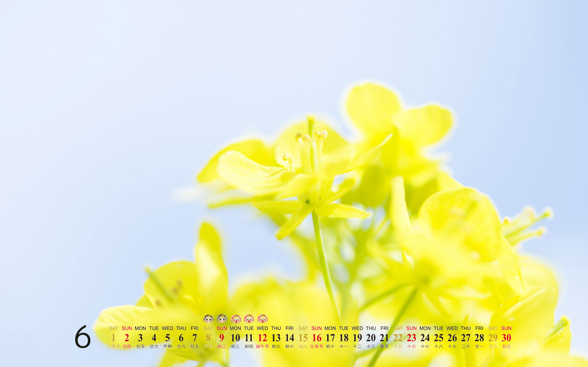 2013年6月唯美花卉风景日历桌面图片