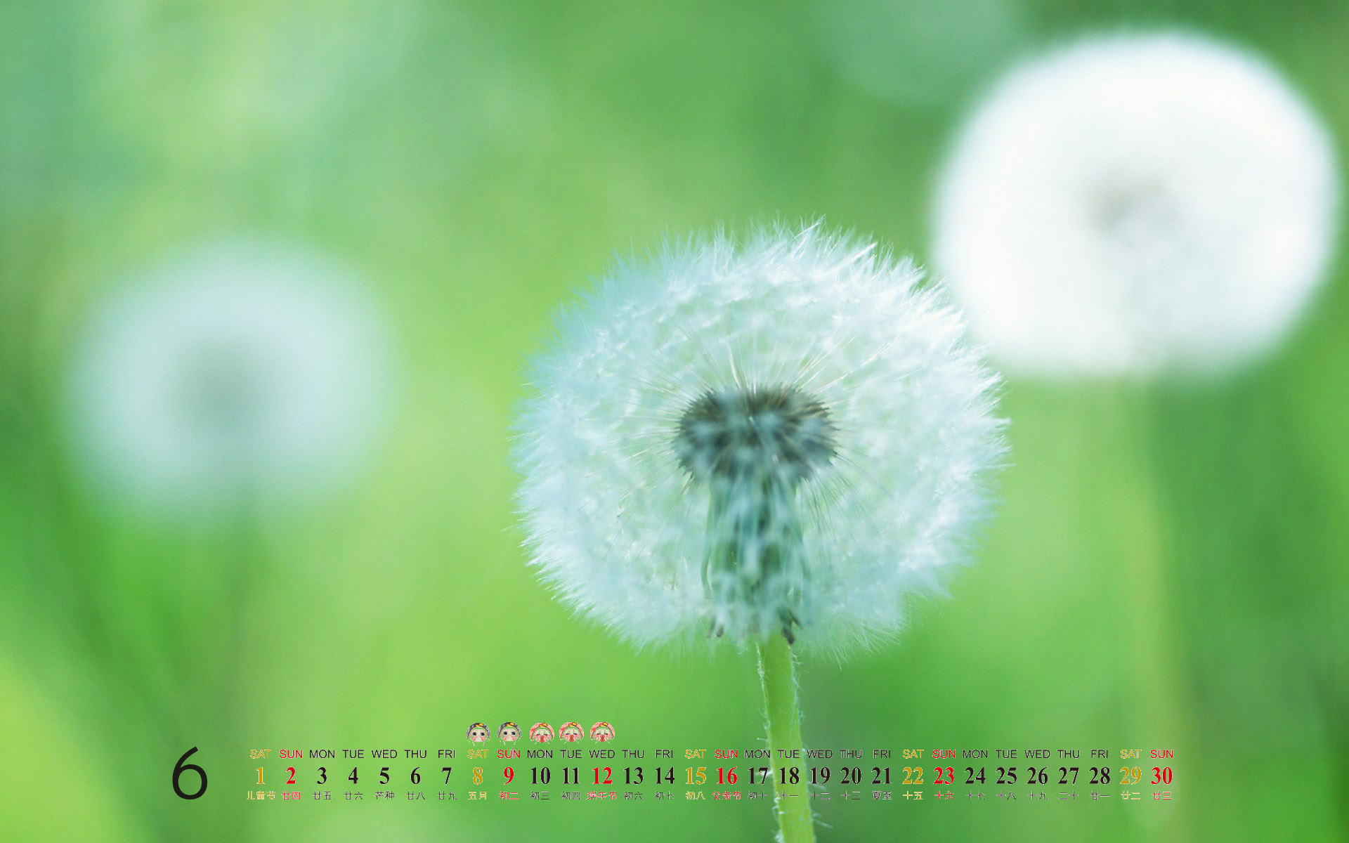阳光美景大自然风景桌面壁纸图片