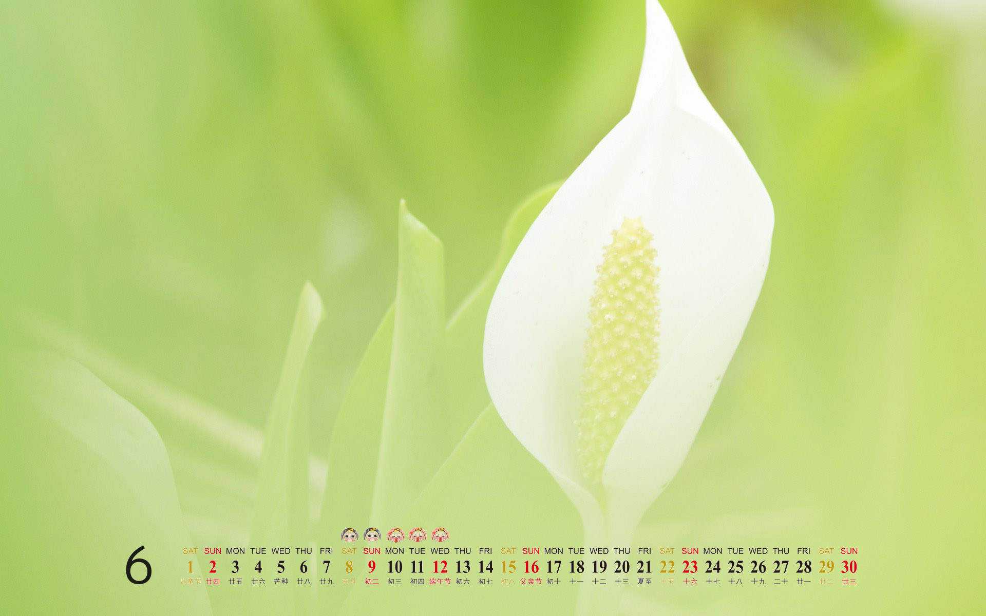 阳光美景大自然风景桌面壁纸图片