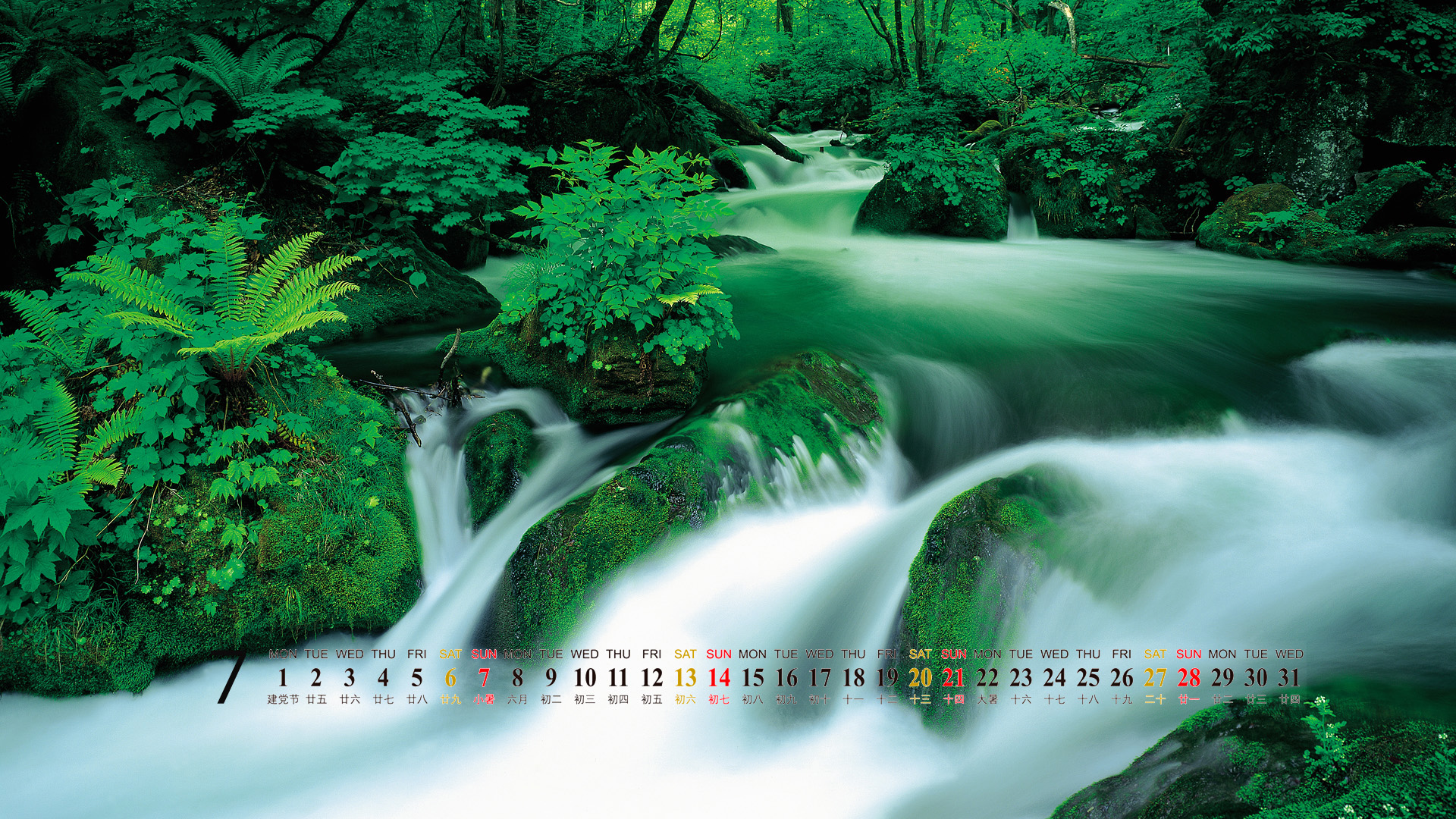 绿色的树木风景桌面壁纸之1920x1080图片