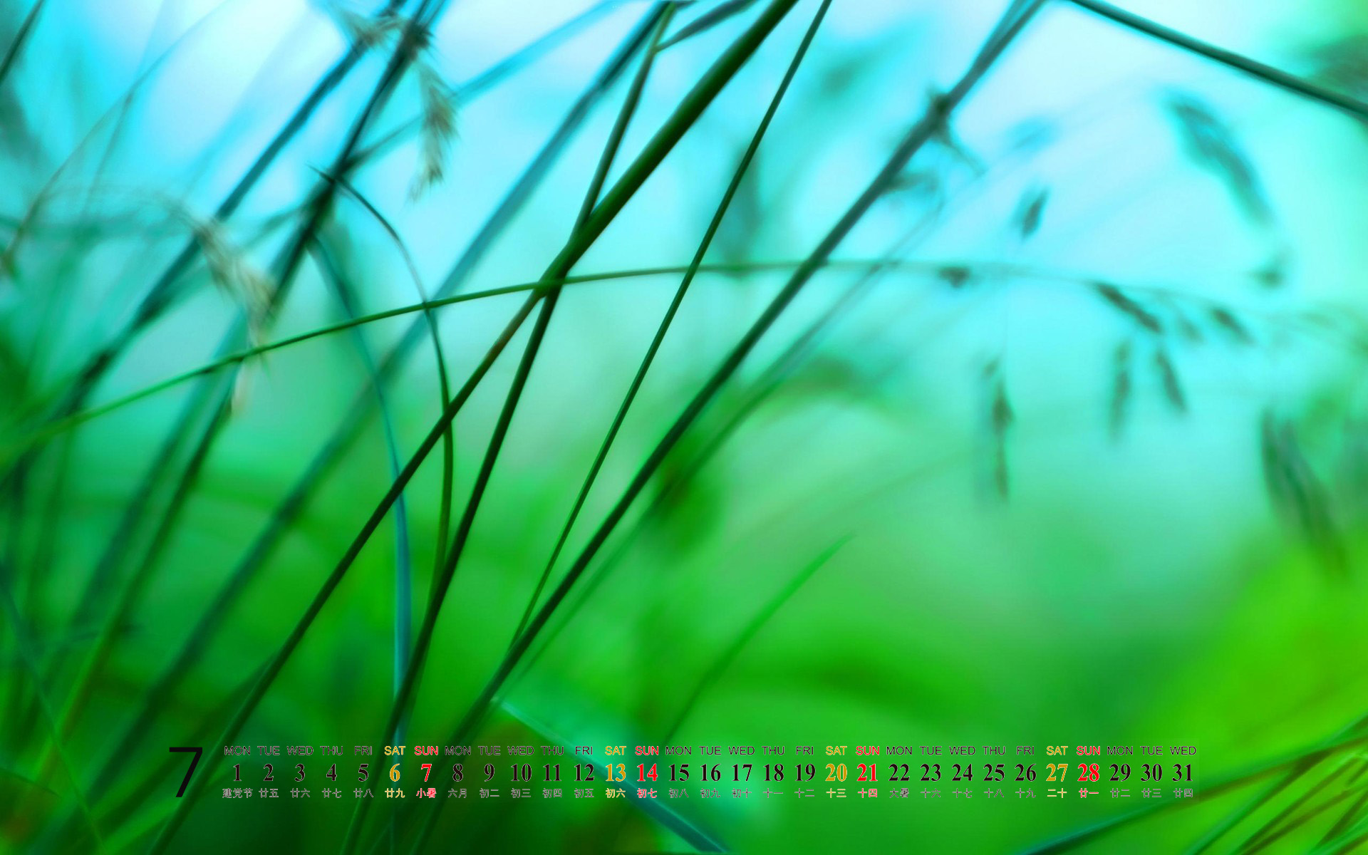 阳光美景大自然风景桌面壁纸图片