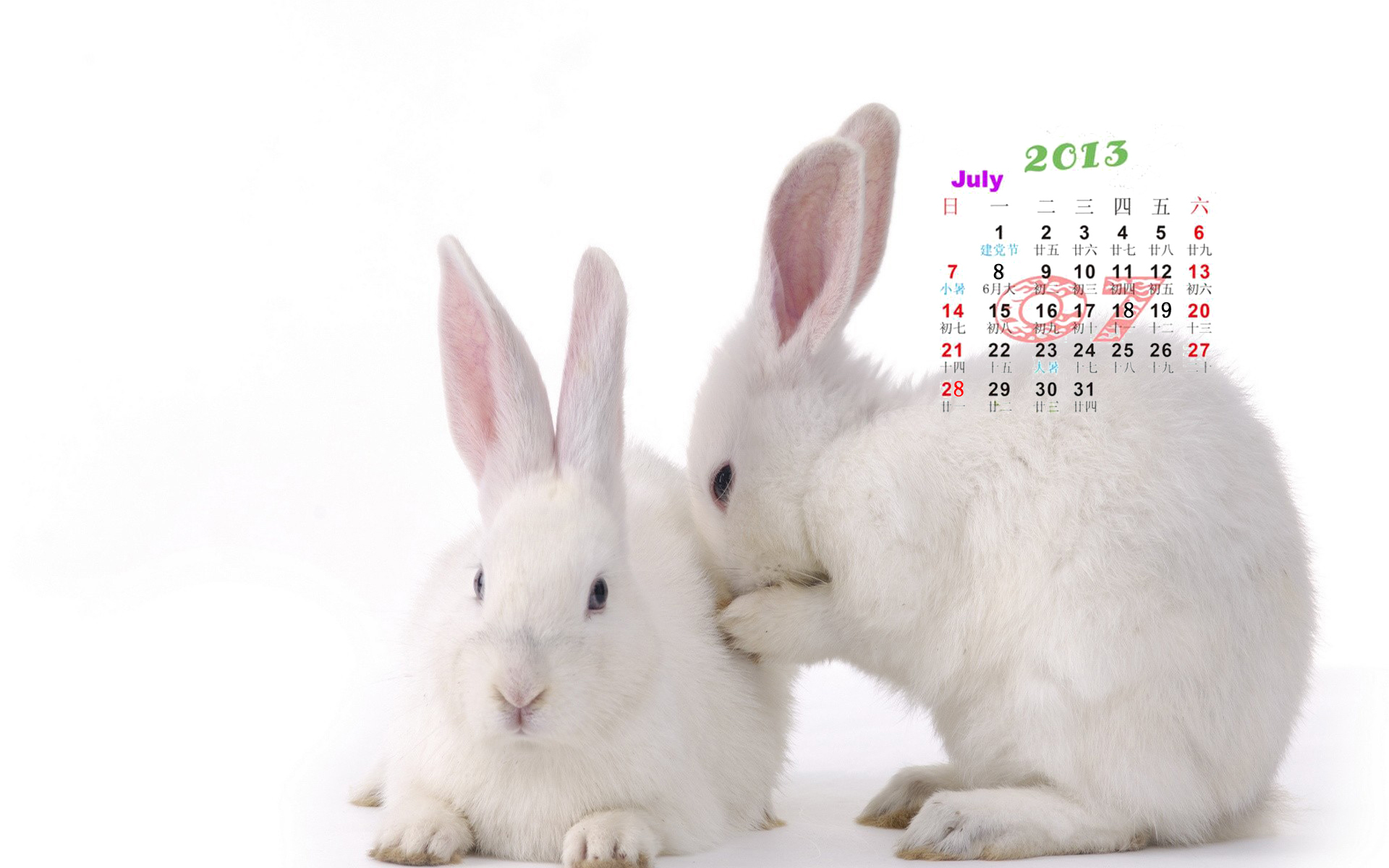 2013年7月日历桌面壁纸之可爱的动物图片