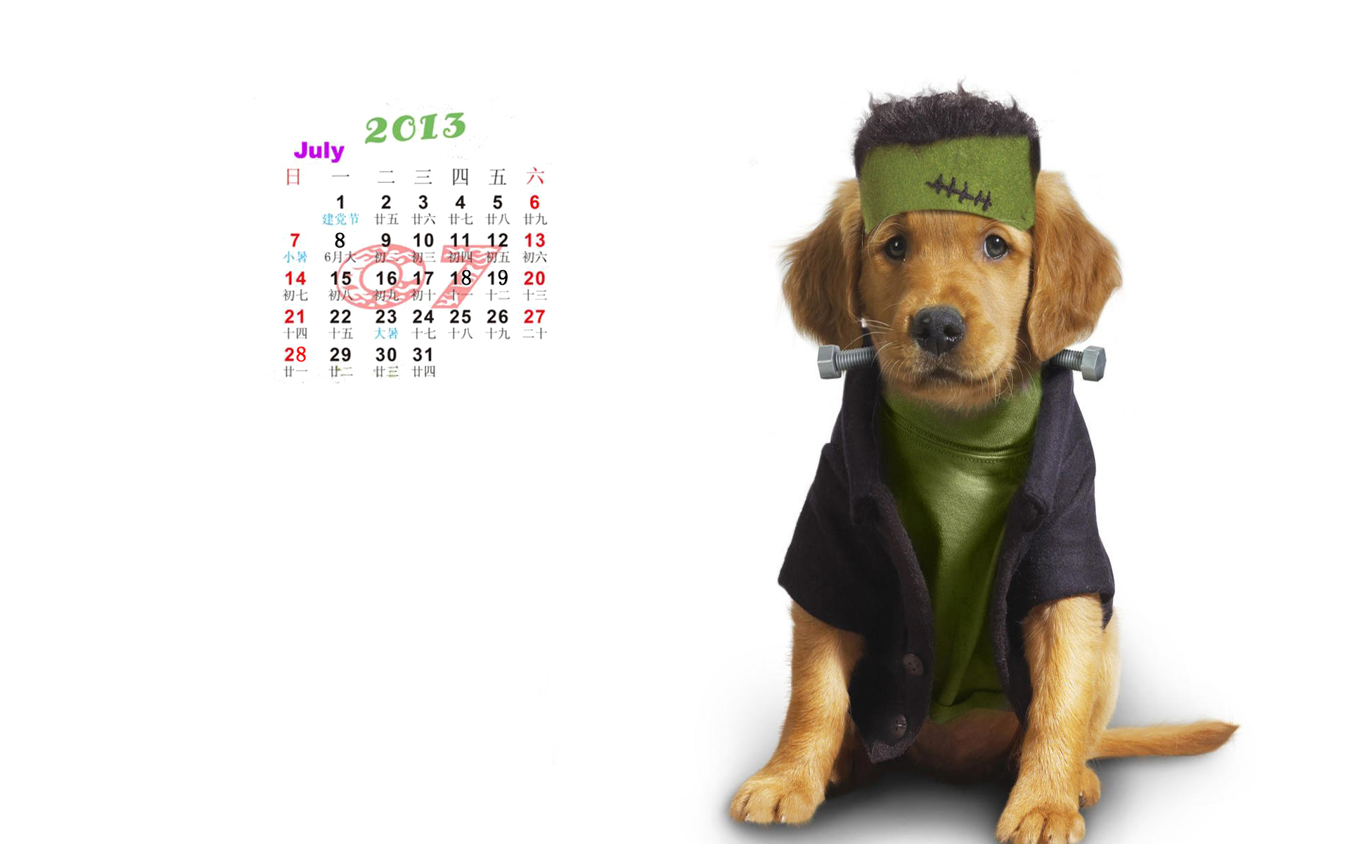 2013年7月日历桌面壁纸之动物图片