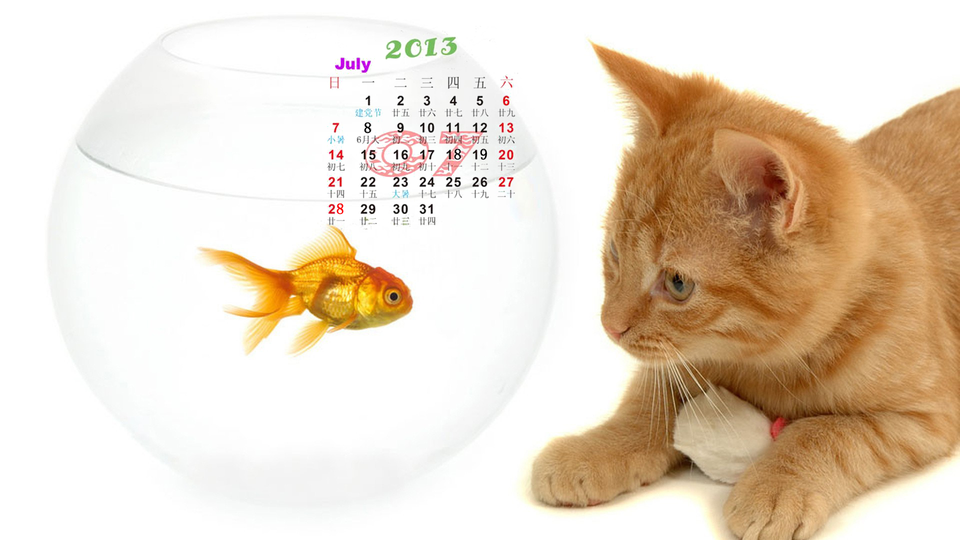 2013年7月日历桌面壁纸之动物图片