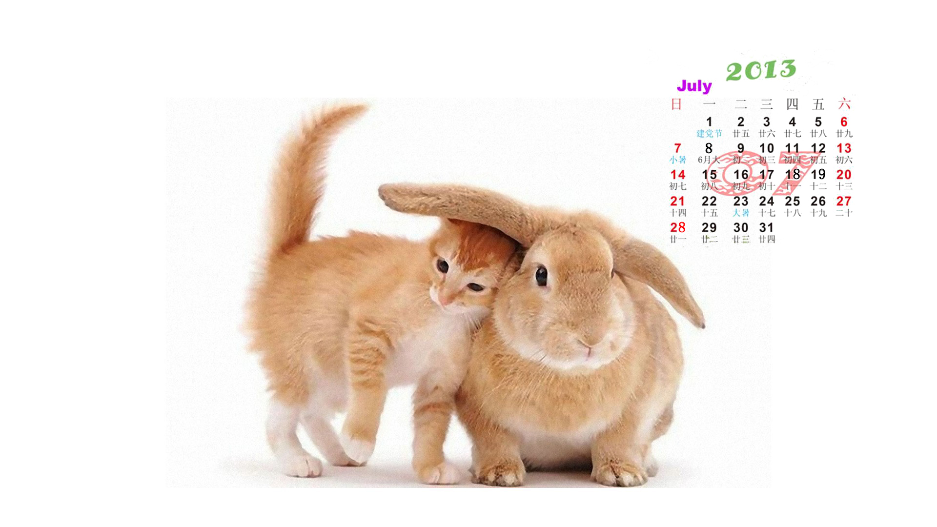 2013年7月日历桌面壁纸之动物图片