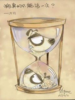 狗图片图片