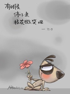狗图片图片