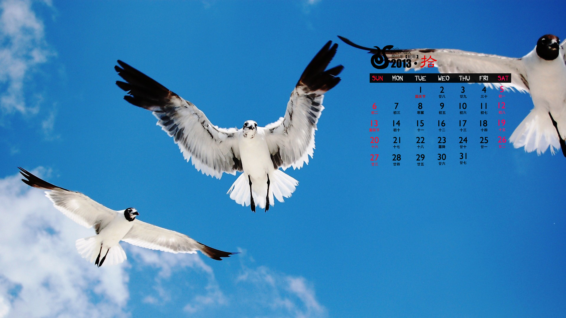 2013年10月精选大海风景日历壁纸图片