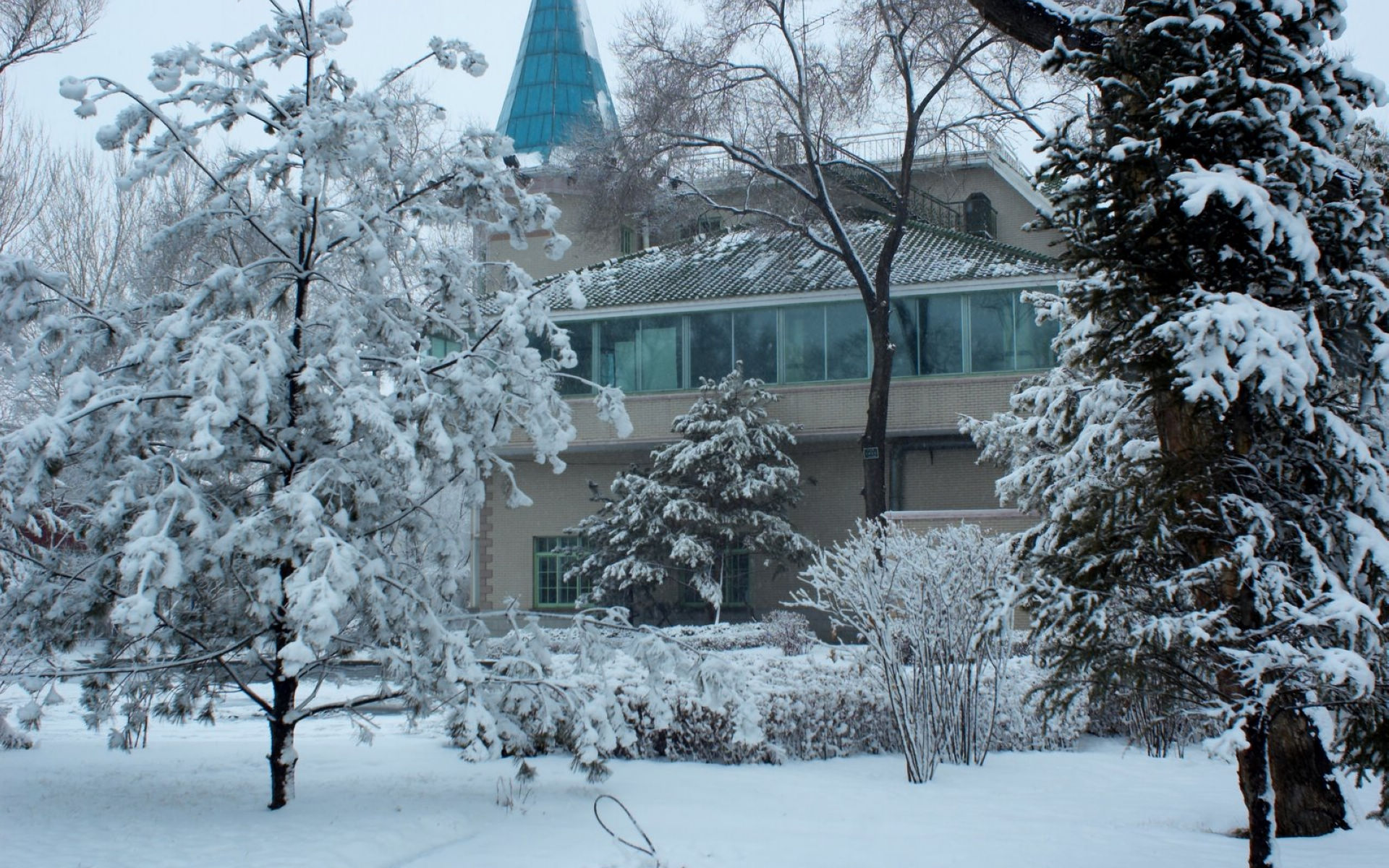 雪景桌面图片