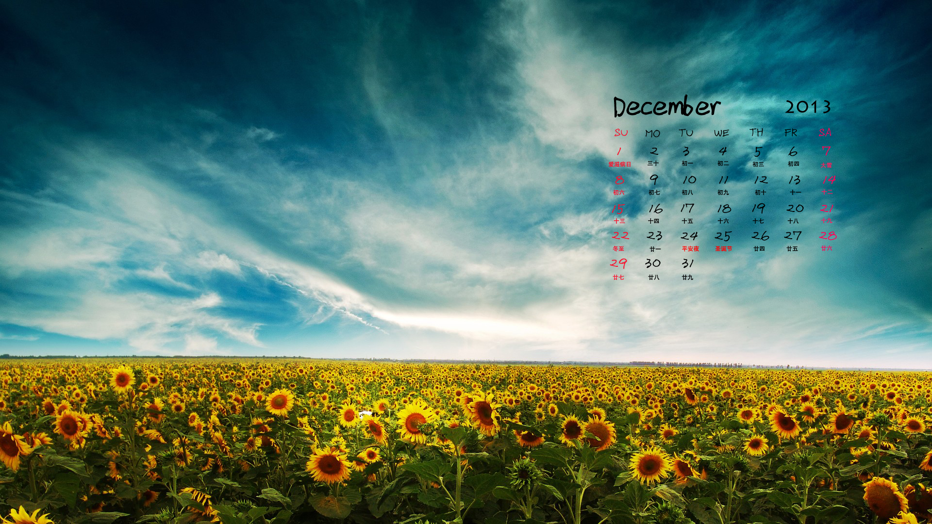 2014年偶像明星7月月历桌面壁纸图片