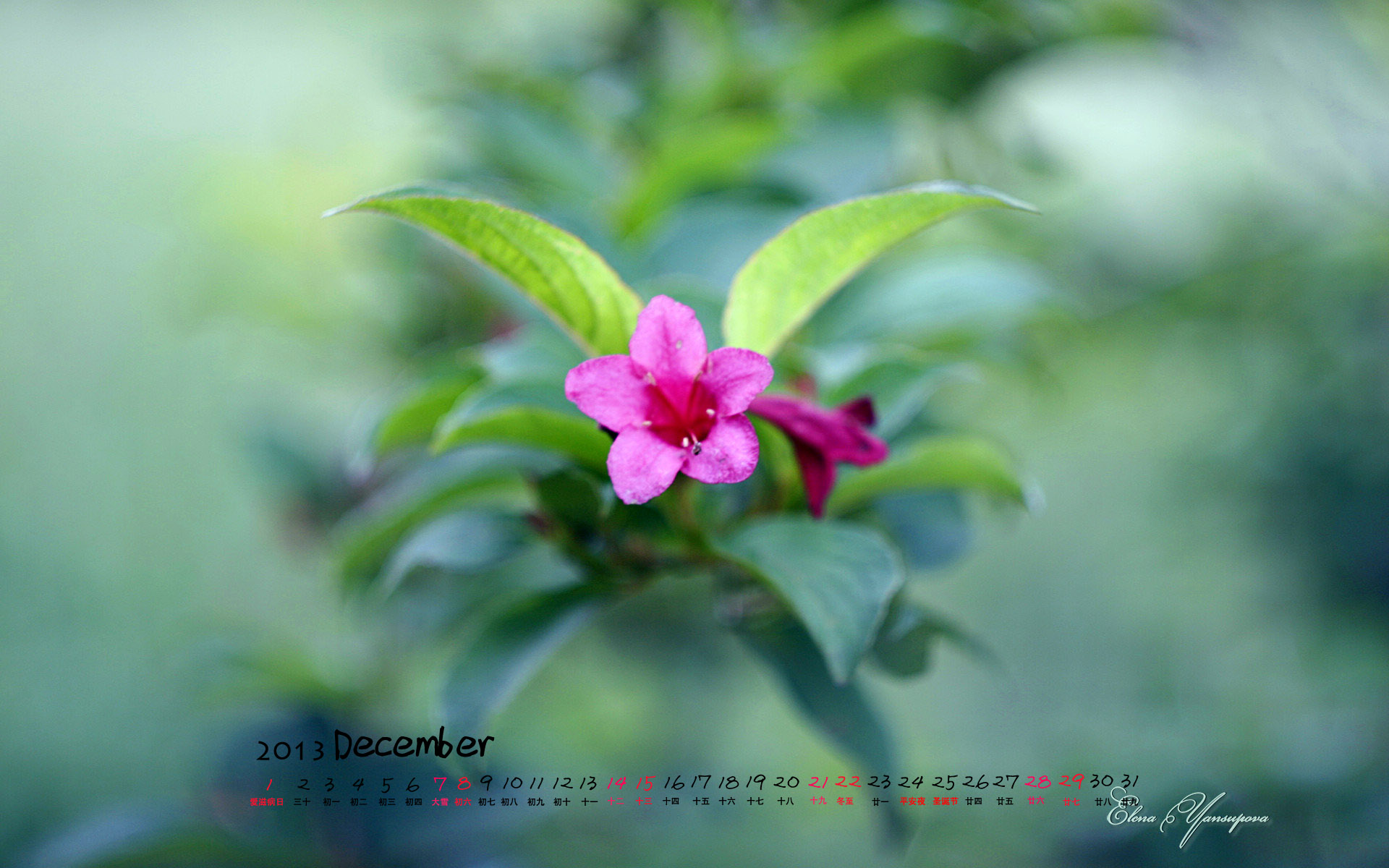 高清风景壁纸图片