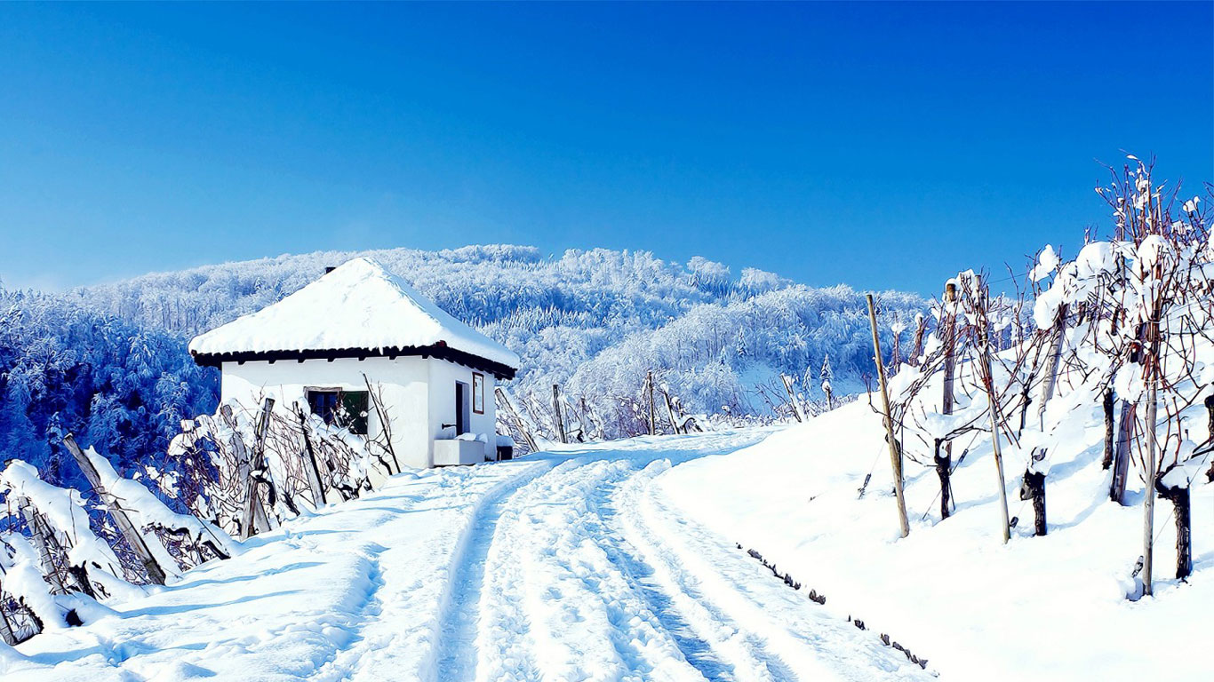 美丽的雪景720X1280手机壁纸图片