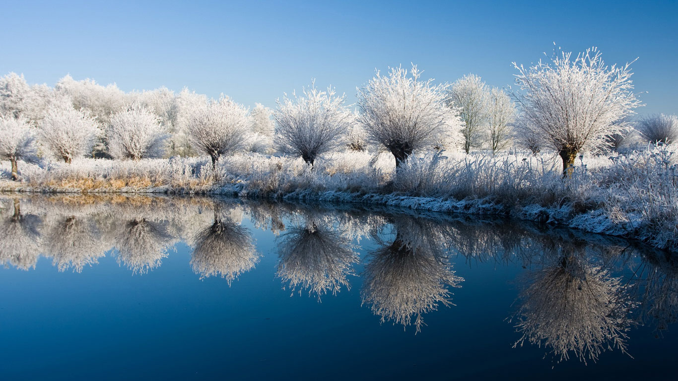 美丽的雪景720X1280手机壁纸图片