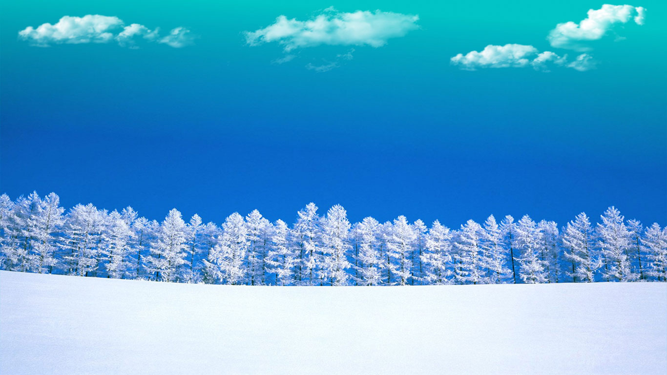 美丽的雪景720X1280手机壁纸图片