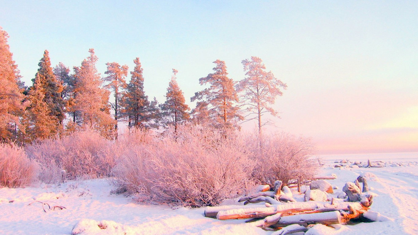 美丽的雪景720X1280手机壁纸图片
