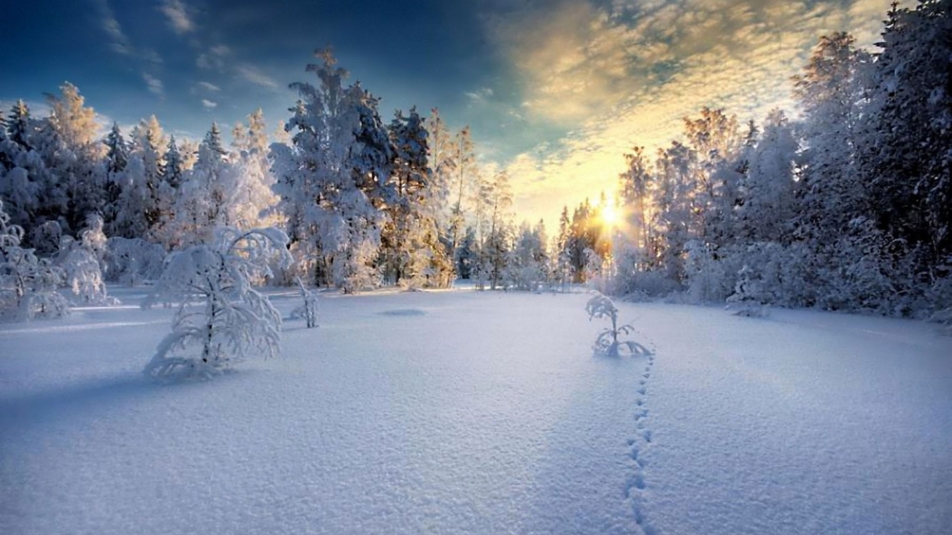 美丽的雪景720X1280手机壁纸图片