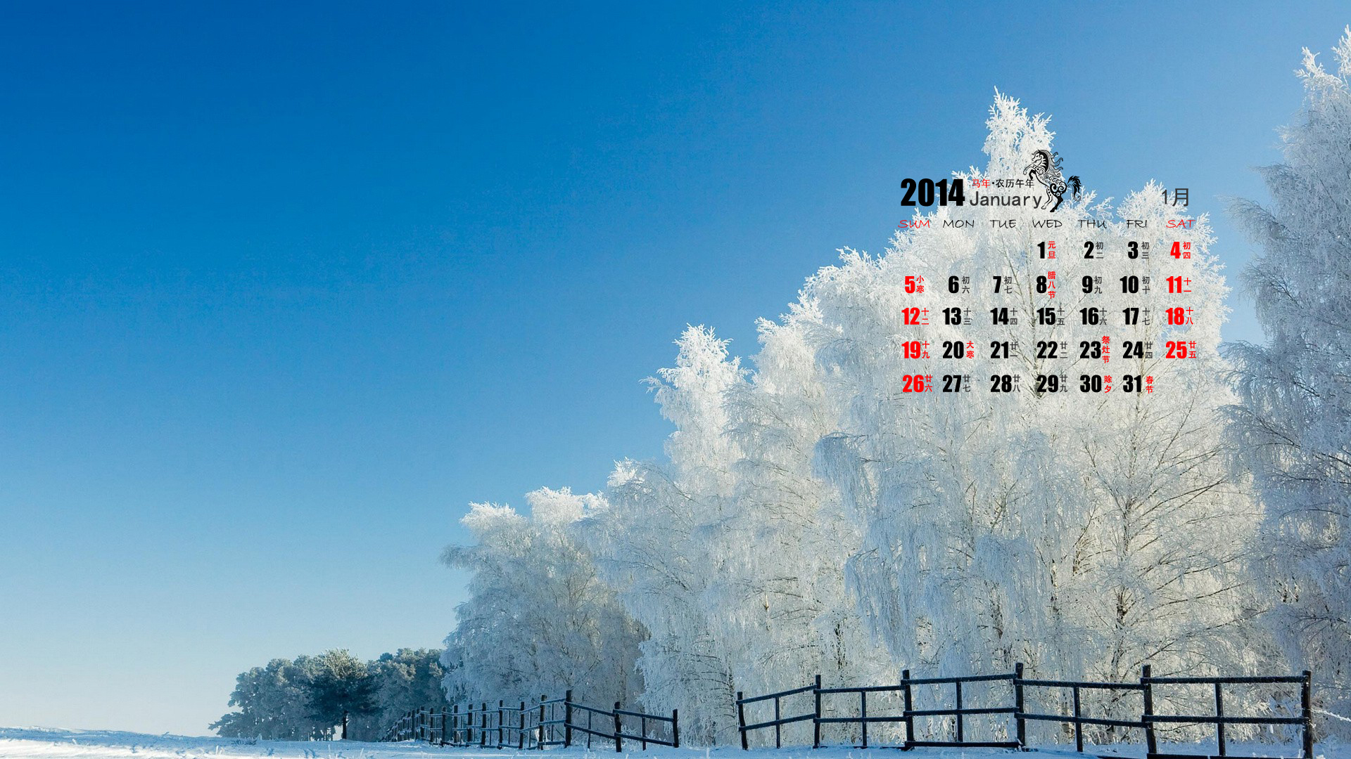 美丽的雪景720X1280手机壁纸图片