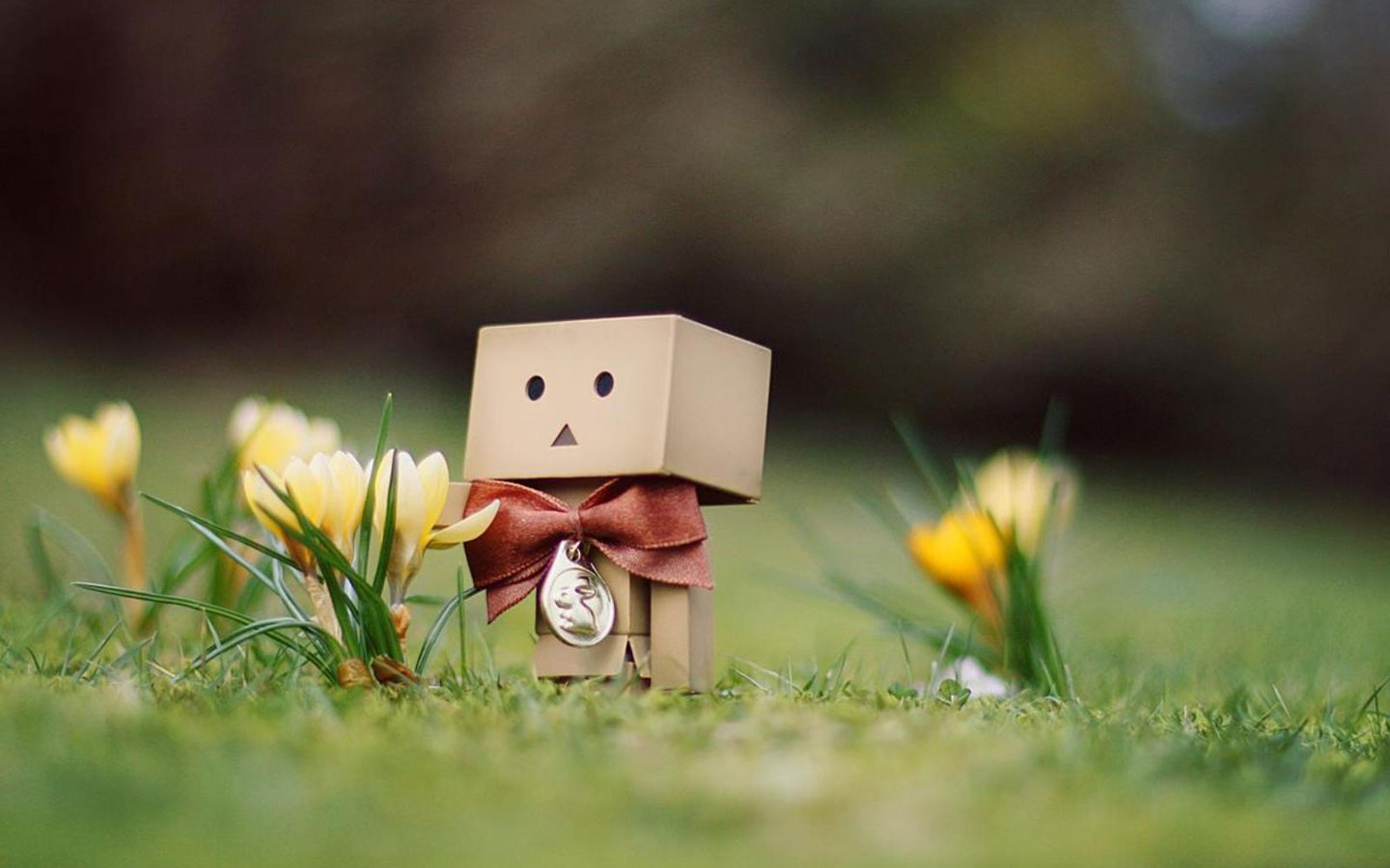 纸盒人Danboard高清手机壁纸740*1384图片