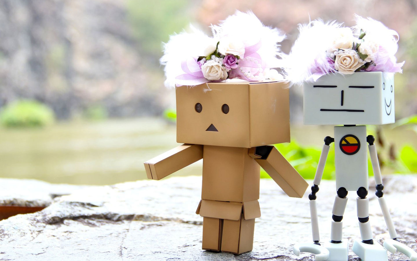 纸盒人Danboard高清手机壁纸图片
