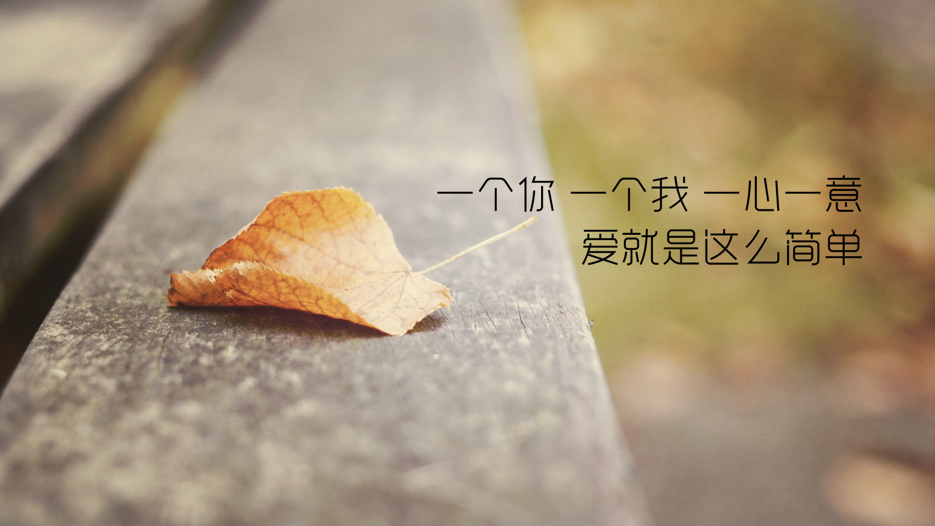 爱情浪漫暖心浪漫主题情侣手机壁纸图片