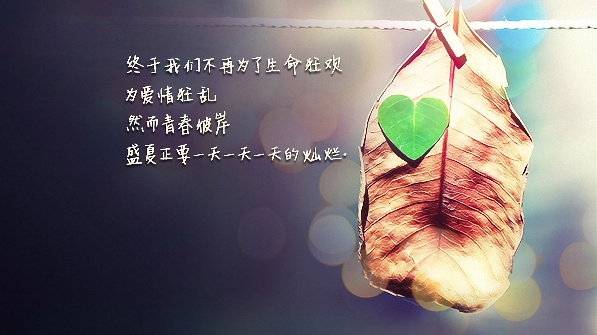 爱情浪漫韩系浪漫手机动态卡通手机壁纸图片