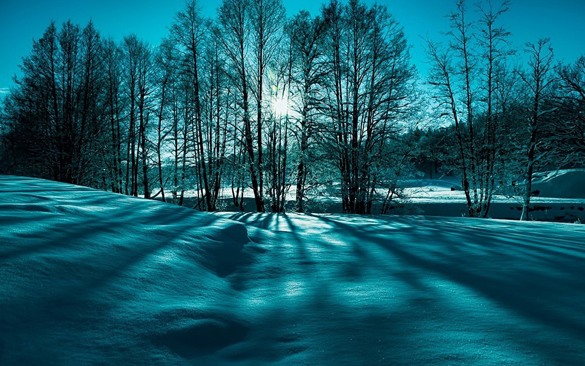 下雪图片