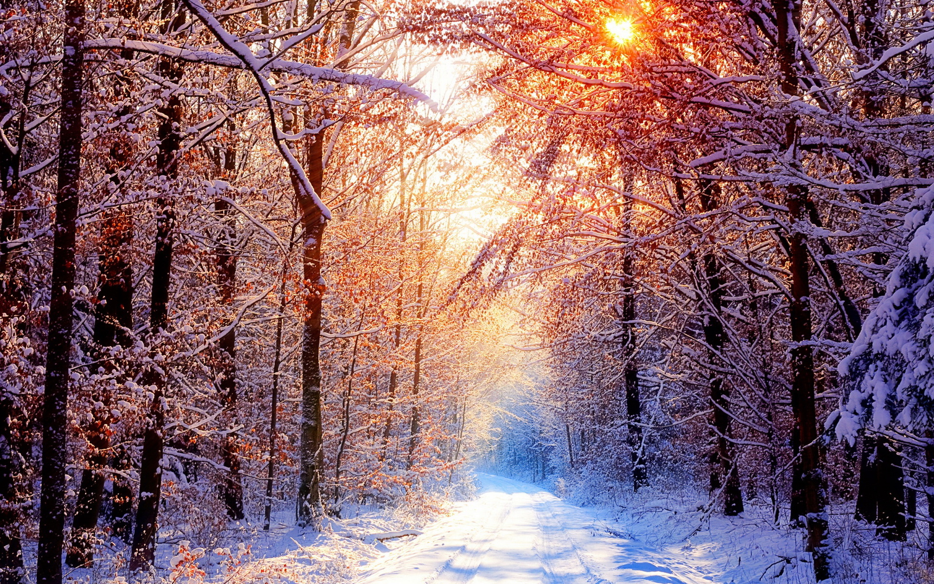 下雪图片