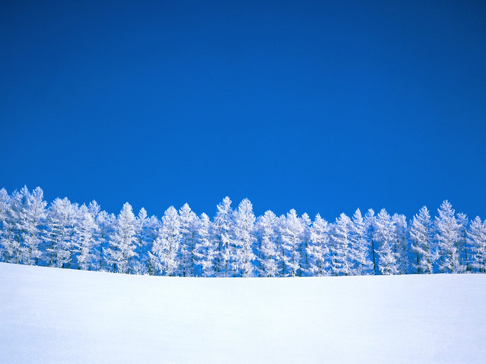 下雪图片